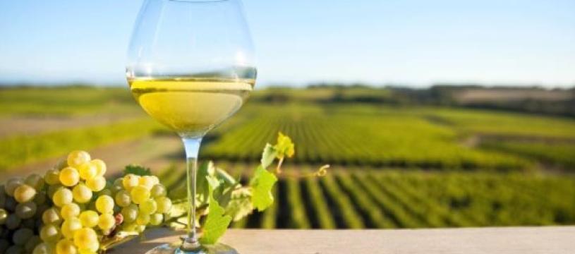 Soirée dégustation: 100% Chardonnay