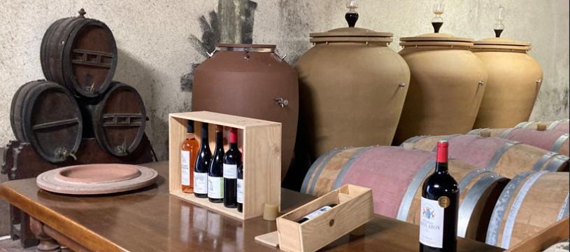 Saint Ahon - Dégustation offerte ce jeudi 27 novembre, 18h-20h