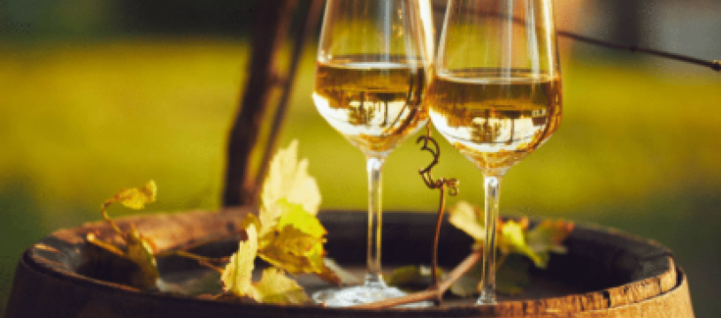 Soirée dégustation 100% Chenin