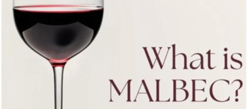 Soirée 100% Malbec